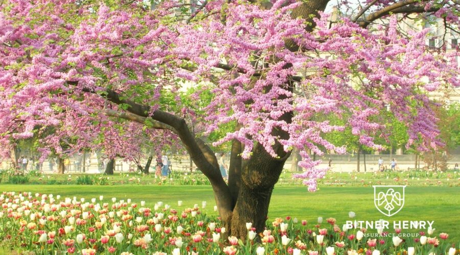 It’s Time for Spring Cleaning!