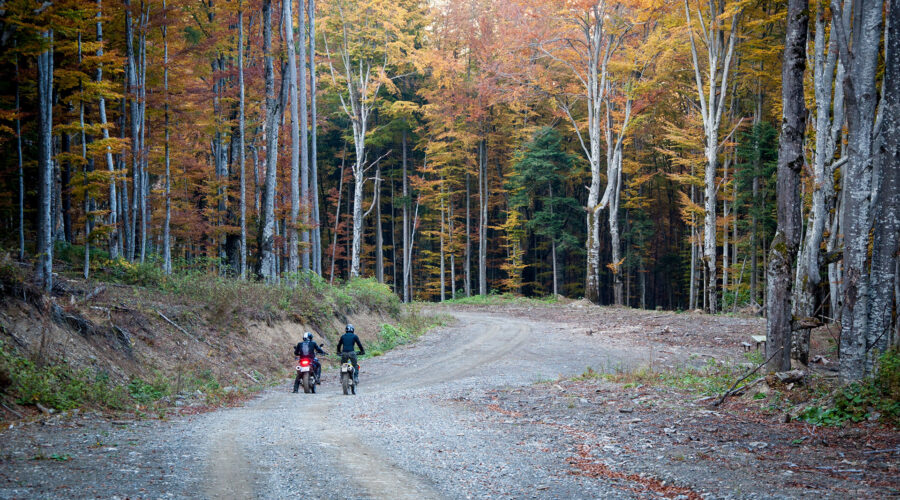 motorcyles riding a gravel road