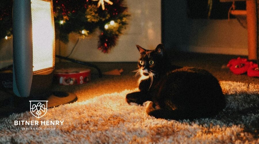 A holiday space is warmed by a space heater. The Bitner Henry logo is in the bottom left.
