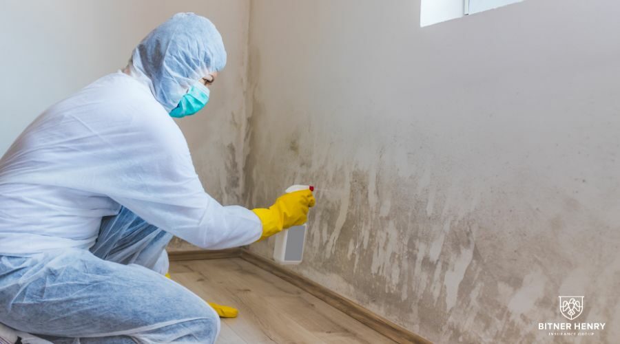 Worker Spraying Mold