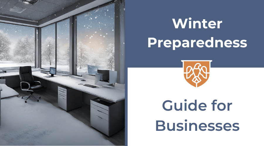 Winter Preparedness and Response: Guide for Businesses