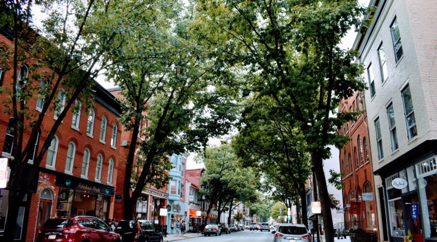 tree lined street in frederick md