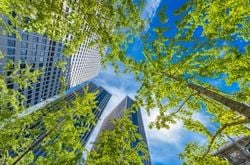 Skyscraper Trees Glass skyscraper buildings overshadowed by green trees. The sky is blue.