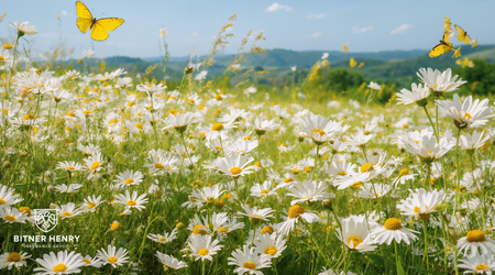 Calming flowers