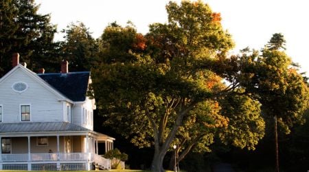 sober home in front of sunlight