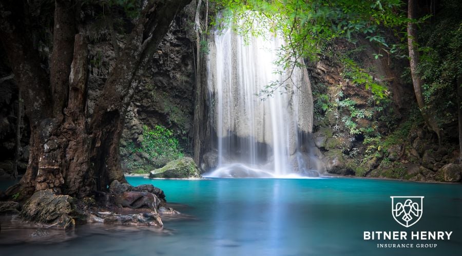 A waterfall in a jungle with the bitner henry logo in the bottom left